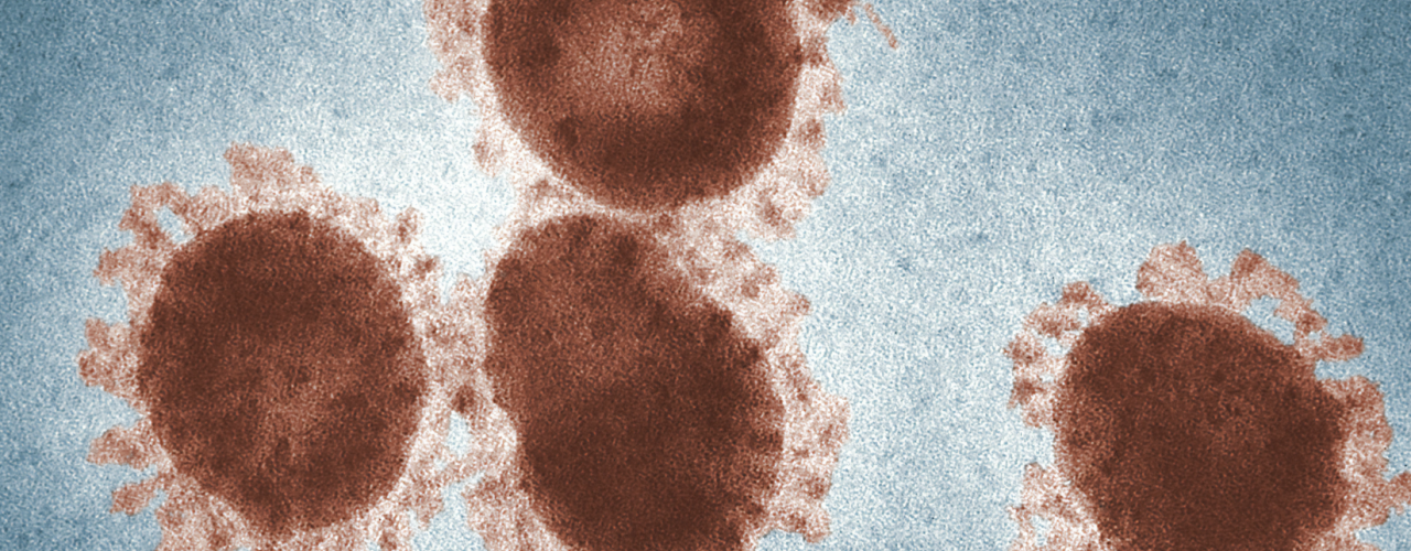 maatregelen coronavirus