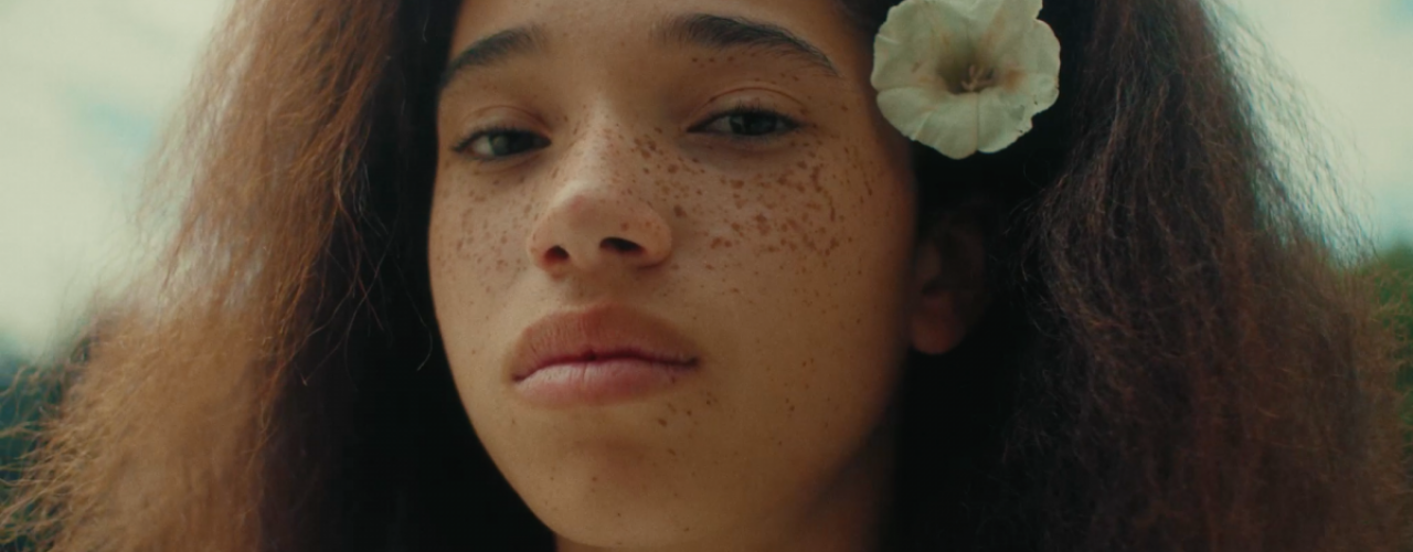 Wildflowers Leuven Kortfilmfestival VAF