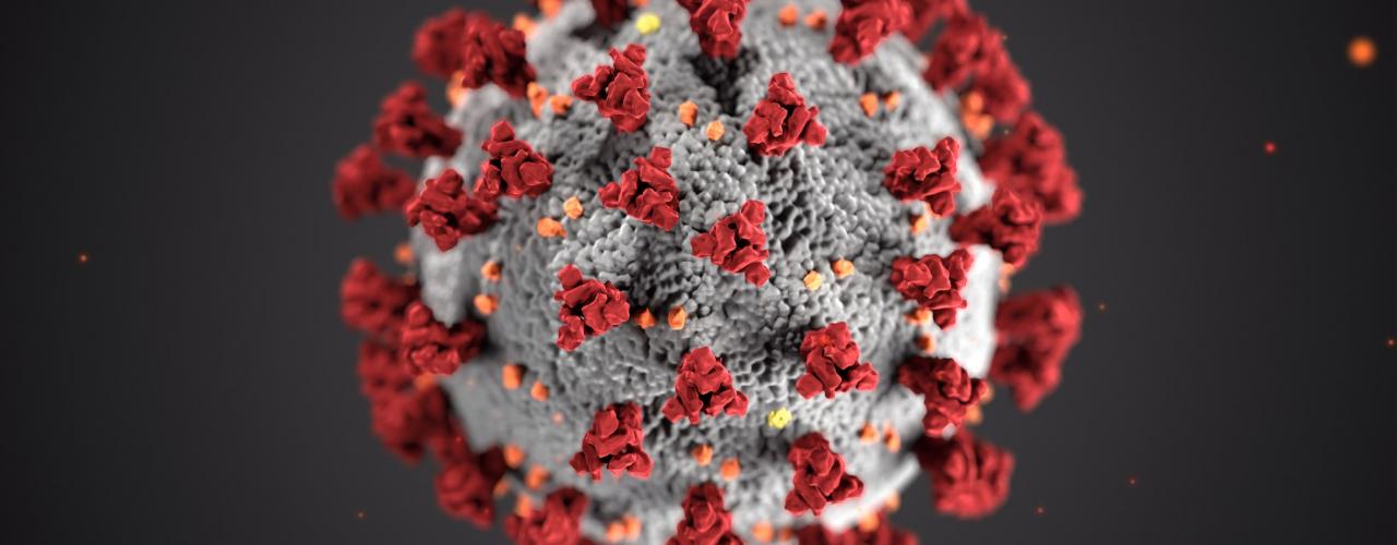 Coronavirus 