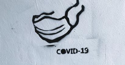 covid 19 RITCS