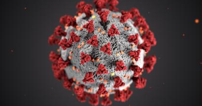 Laatste stand van zaken coronavirus