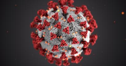 Coronavirus 